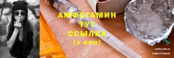 СК Алексин